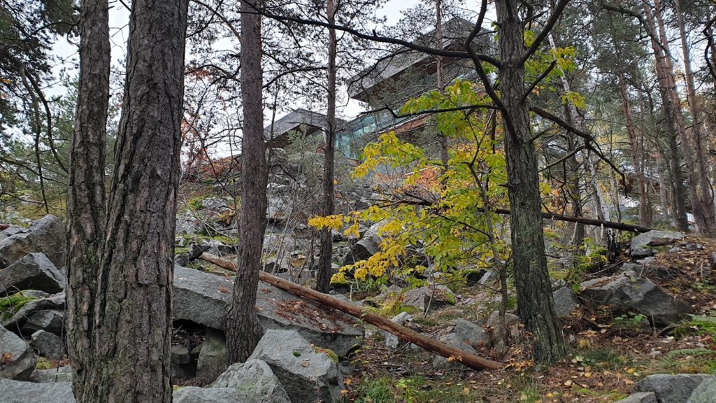 Markkänning – från Ingentingskogen till Experimentalfältet. Art & Science Retreat nr. 1