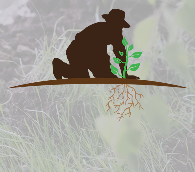 Meet the Soil Care Network – an Interdisciplinary, Global Community of Scholars and Practitioners Animated by the Love of, Fascination with, and Dedication to Soils